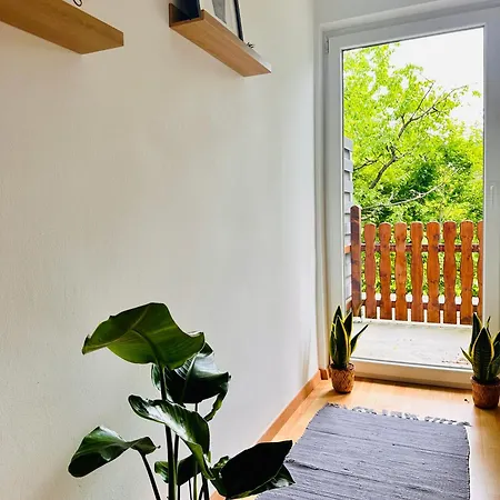 Joes Cozy * Пайербах