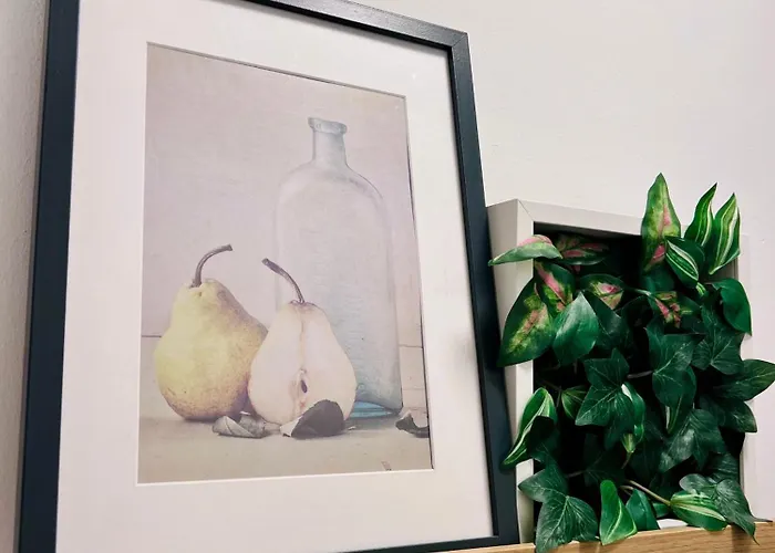 Joes Cozy * بايرباخ