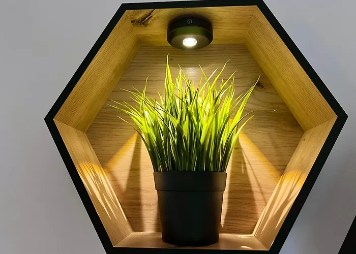 Joes Cozy Апартаменты Пайербах